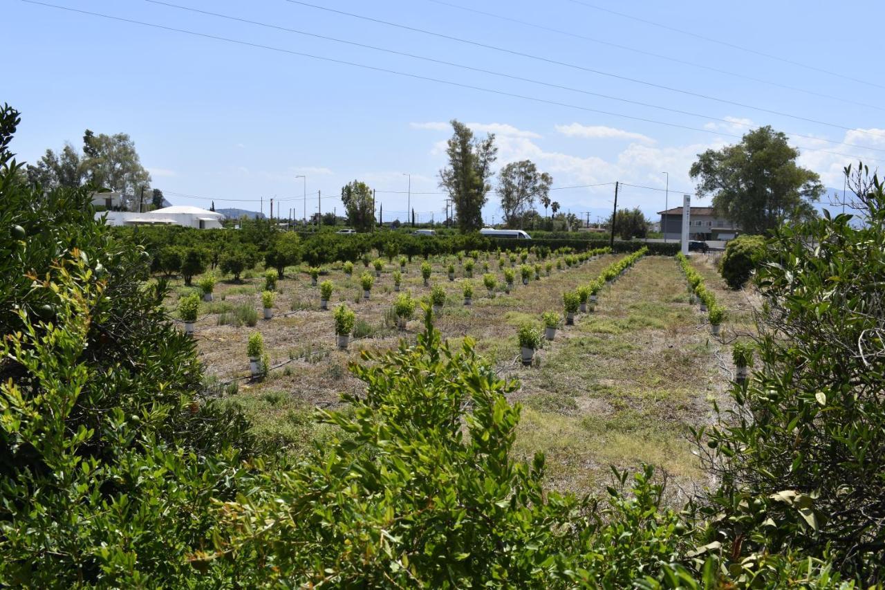 To Spitaki Dalamanara Exterior photo